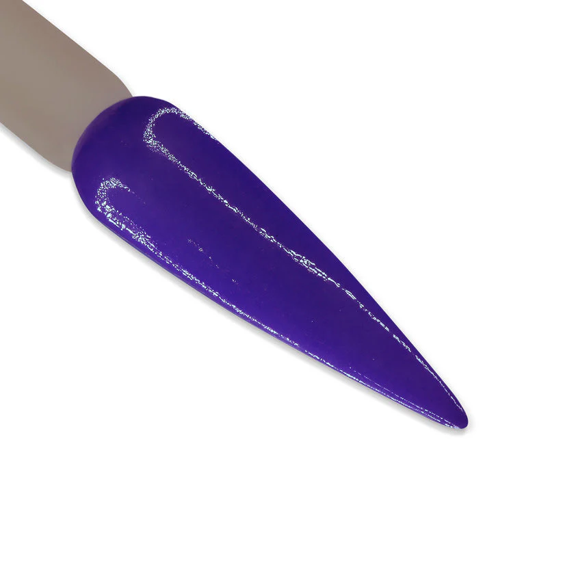 DD Duo -  DD069 Electric Blue - Image 2