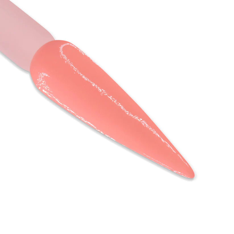 DD Duo -  DD185 Nectarine - Image 2