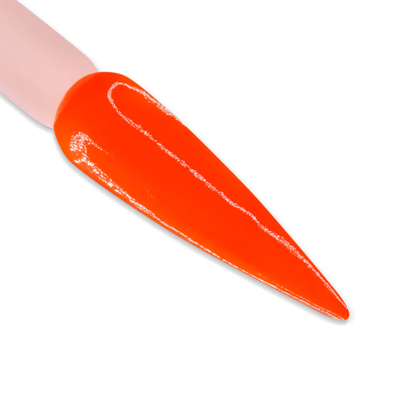 DD Duo -  DD207 Thrill Seeker - Image 2