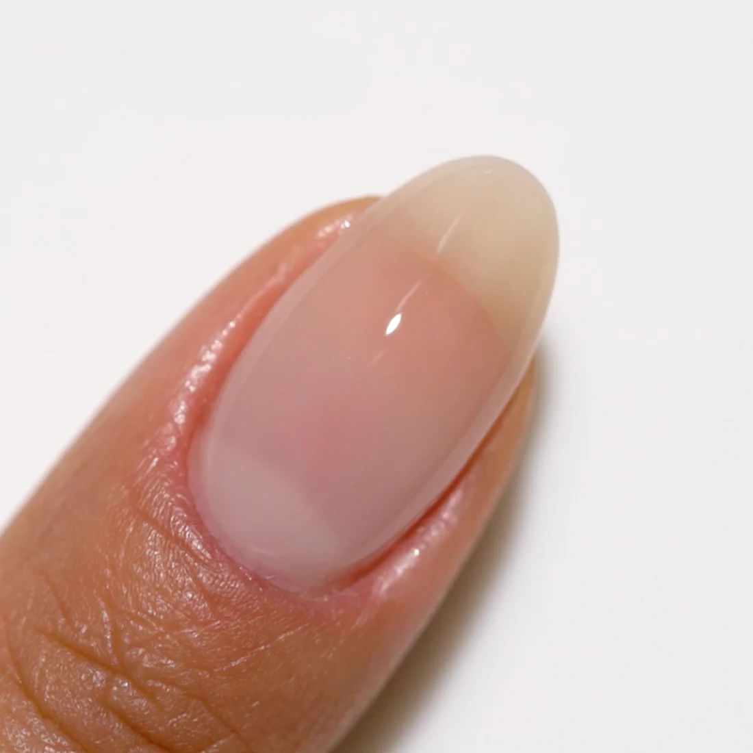 Duo Gel - DC2443 Sheer Sugar - Image 4