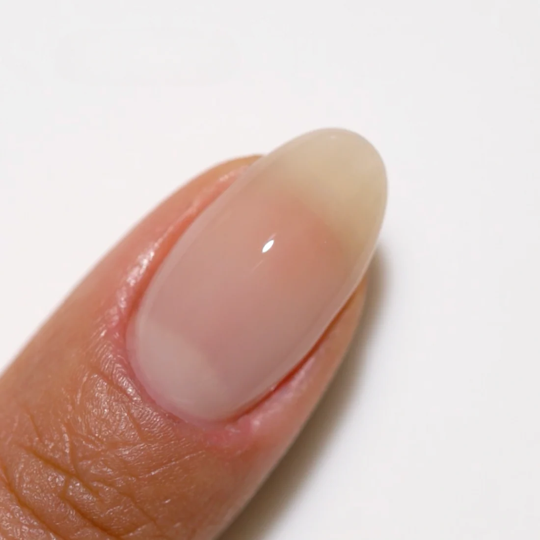 Duo Gel - DC2449 Barely There - Image 4