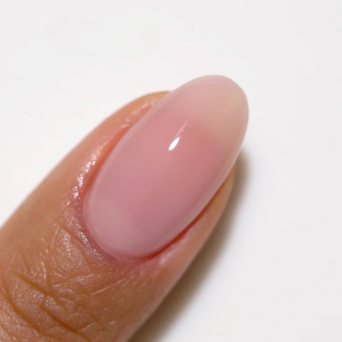 Duo Gel - DC2468 Bubblegum - Image 3