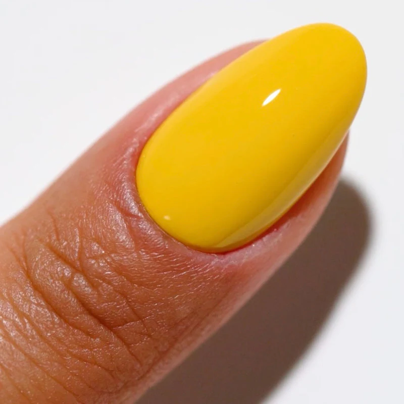 Duo Gel - DC2516 Sun Rebels - Image 3