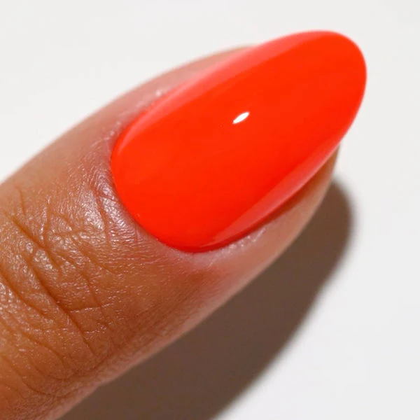 Duo Gel - DC2542 Untamed - Image 3