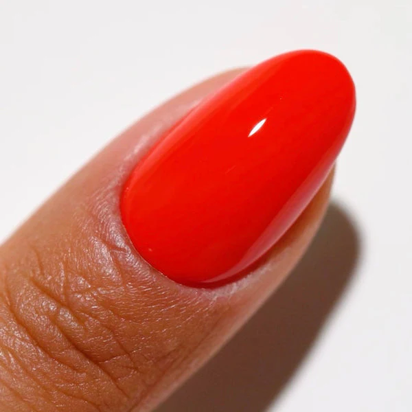 Duo Gel - DC2543 Ladybug - Image 3