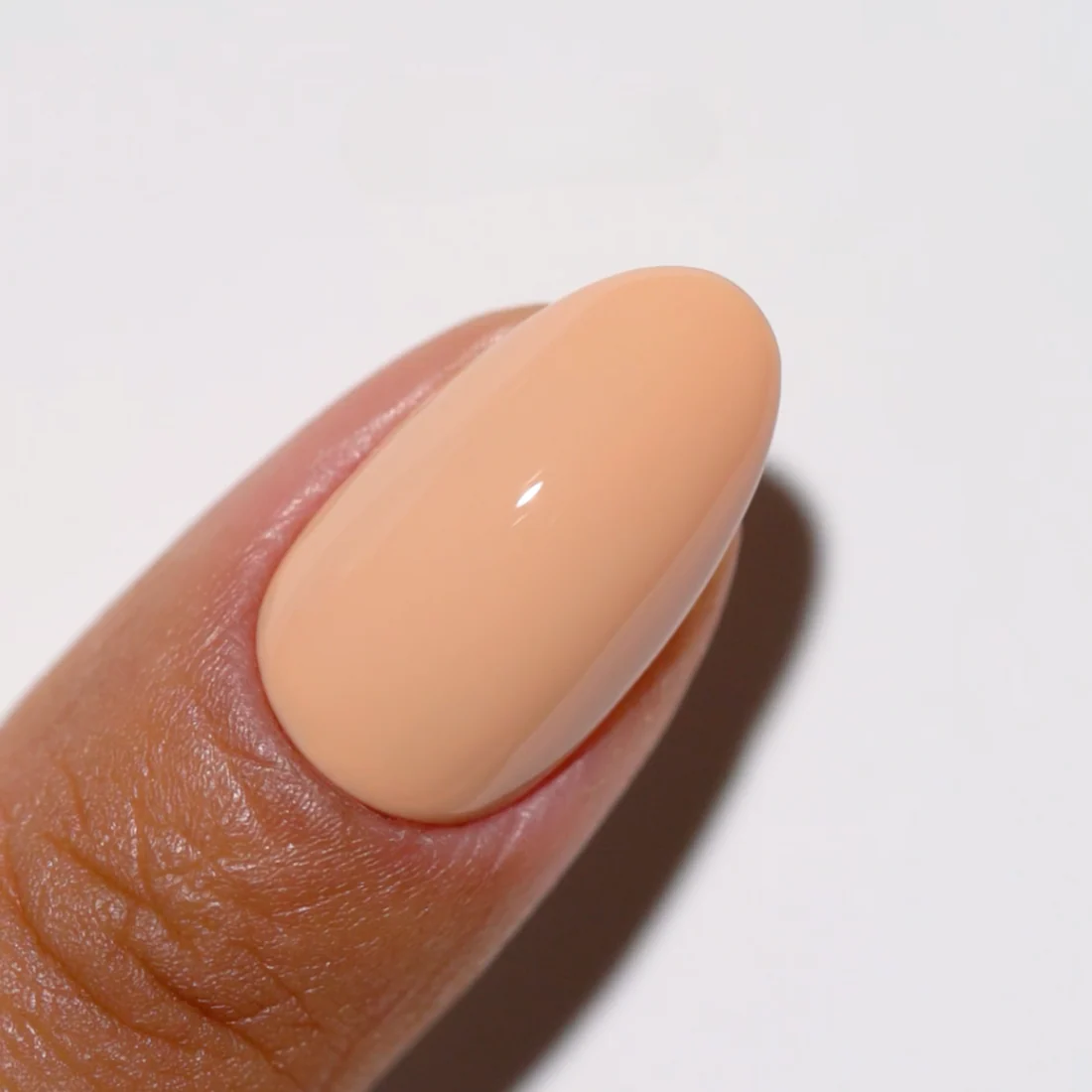 Duo Gel - DC292 Hopscotch - Image 3