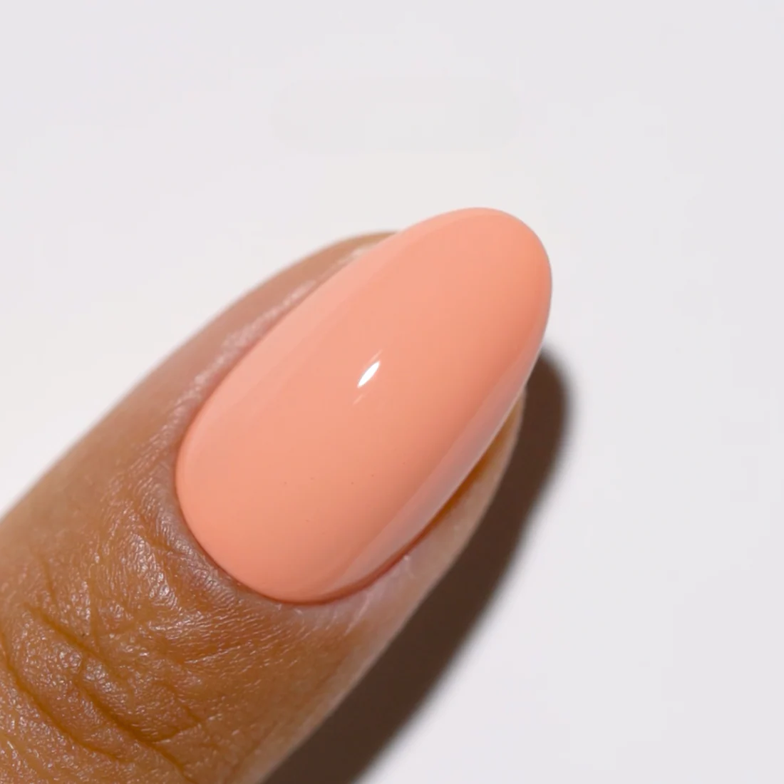 Duo Gel - DC305 Bon Appetit - Image 3