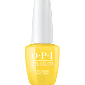 Gel Color - F91 Exotic Birds Do Not Tweet - Image 2