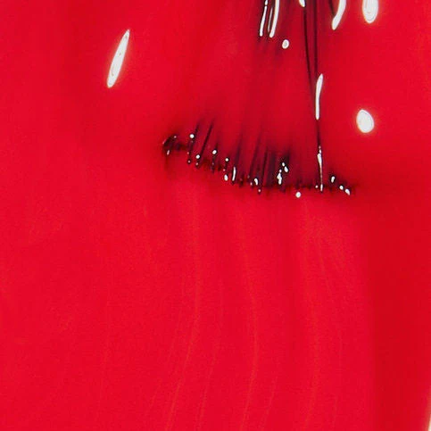 Infinite Shine - ISLL64 Cajun Shrimp - Image 2
