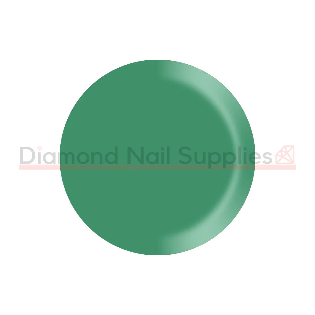 Shellac - Art Basil - Image 2
