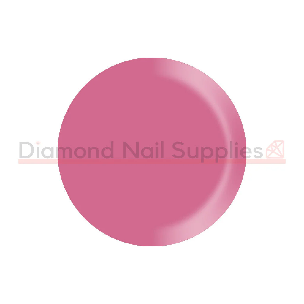 Shellac - Gotcha - Image 2