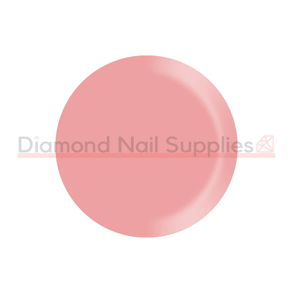 Shellac - Nude Knickers - Image 2