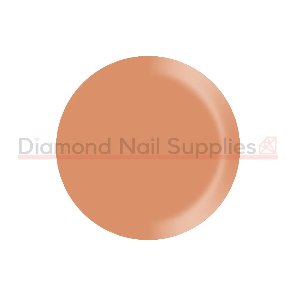 Shellac - Shells In The Sand - Image 2