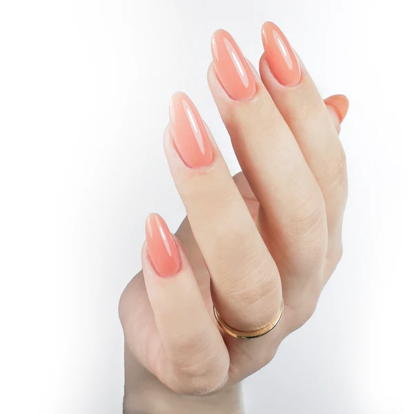 Tinted Rubber - TNT05 Coral Silk - Image 2